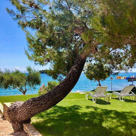 Al Mare Apartments Rovinj Eksteriør billede