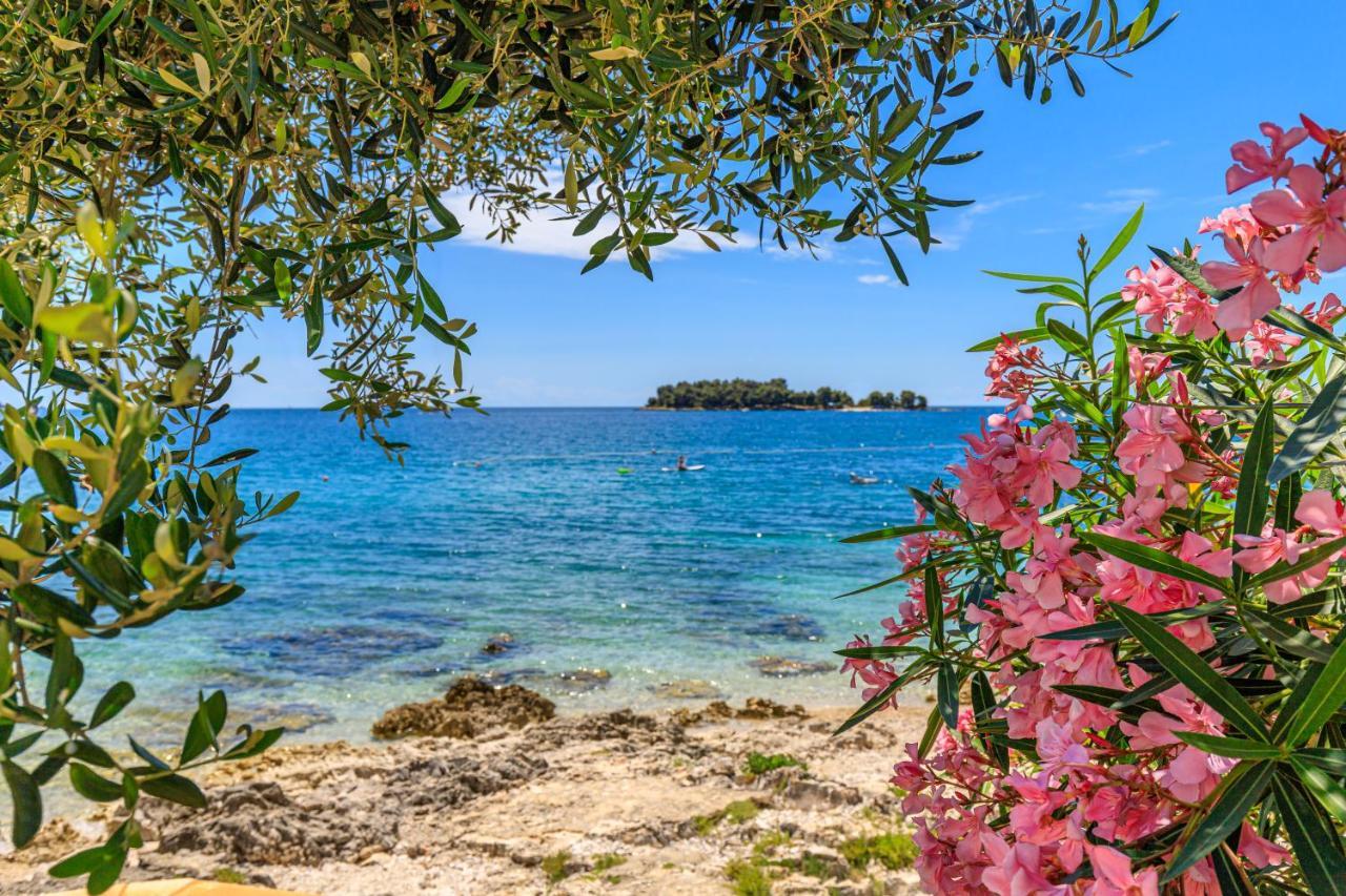 Al Mare Apartments Rovinj Eksteriør billede