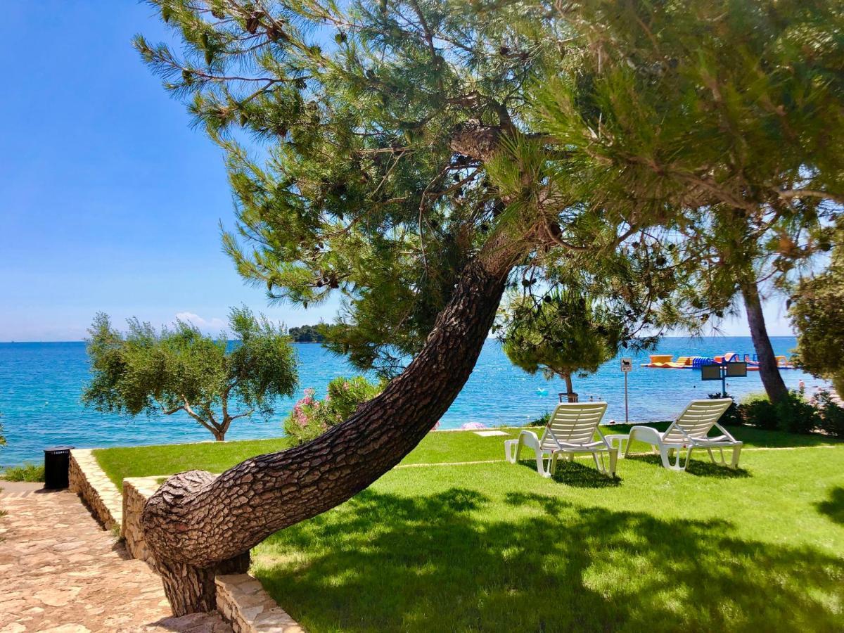 Al Mare Apartments Rovinj Eksteriør billede